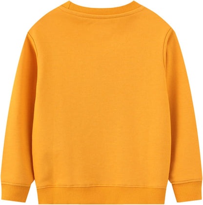 2 Pack Toddler Boys Sweatshirts Patterned Long Sleeve Pullover Crewneck Tops Shirts